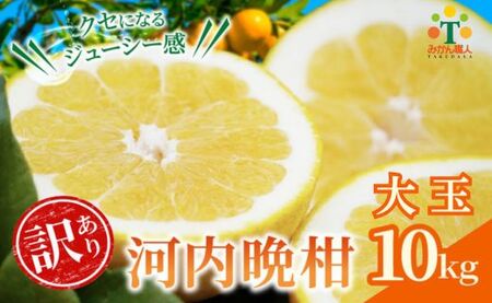 【訳あり】 みかん職人の河内晩柑 大玉 10kg 先行予約 河内晩柑 みかん職人武田屋