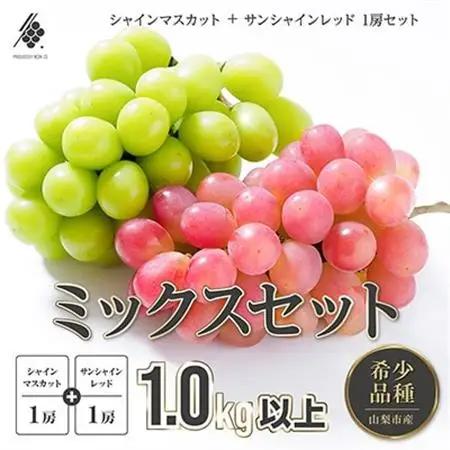 【2026年発送】 シャインマスカット 1房 ＆ サンシャインレッド 1房 (計1kg以上)【配送不可地域：離島・沖縄県】【1670109】