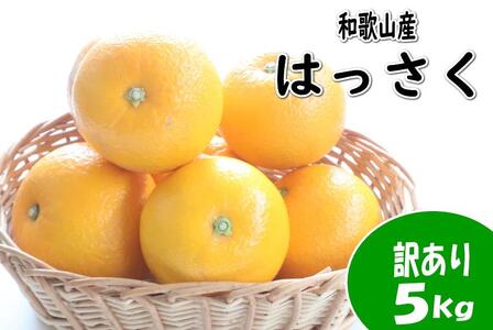 【訳あり・ご家庭用】はっさく（八朔）約5kg 和歌山産  みかん 柑橘  人気