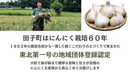 【訳あり】田子（たっこ）バラにんにく約500g（青森県田子町産にんにく中～大粒サイズ混合）