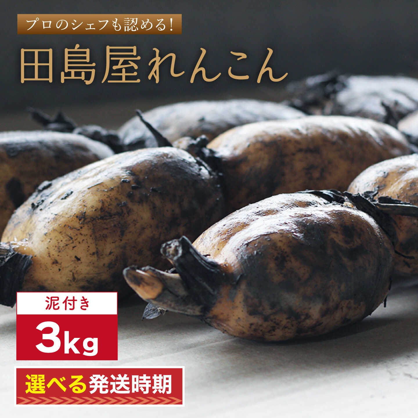 【ふるさと納税】【選べる発送時期】れんこん（泥付き） 3kg 夏期/年内/年末/年明け【田島屋れんこん】 2026年8月〜発送 蓮根 レンコン 根菜 野菜 れんこん おせち 正月 お節 大晦日 根菜 野菜 新鮮 おすすめ 秋 冬 旬 特産物 旬もの 佐賀県産 佐賀 白石町産 白石 [IAV001]