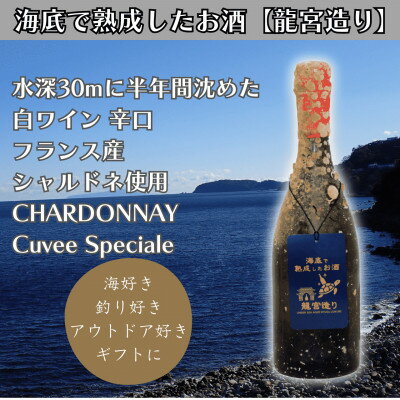 【ふるさと納税】【海底に半年沈めて熟成した白ワイン】辛口 CHARDONNAY Cuvee Speciale #22【1733867】