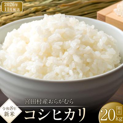 ふるさと納税 宮田村 【先行受付】【令和8年米】【新米】長野県宮田村産コシヒカリ/精米20kg・40,000円/11月配送
