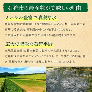 石狩産 玉ねぎ10kg【9月～11月発送】