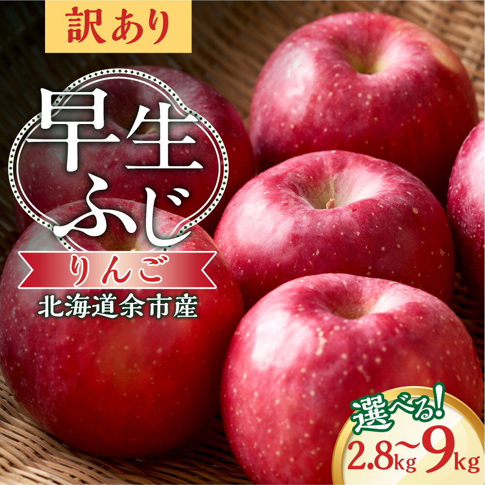 【ふるさと納税】【先行予約2026年10月中旬より発送】 ＼ 内容量が選べる ／訳アリ りんご（早生ふじ）2.8kg 5kg 9kg【北海道余市町産】 北海道産 りんご予約 酸味少ない みずみずしい りんご ジューシー 果肉やわらか しゃりっとした食感 秋の味覚 北海道 余市町 送料無料