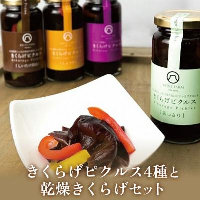 ふるさと納税 玖珠町 きくらげピクルス(4種)と乾燥きくらげのセット