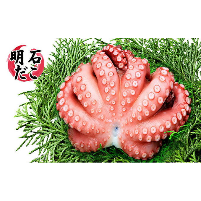 【ふるさと納税】明石ダコのゆでダコ 丸ごと1匹と切り身で800g 魚貝類 タコ
