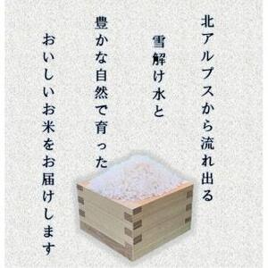 米 コシヒカリ 長野県産 10kg