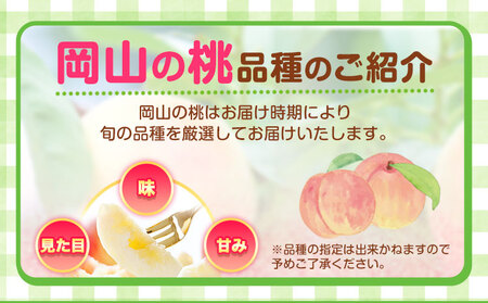 岡山県産 岡山白桃  7玉 (260g以上)【配送不可地域あり】 《7月上旬-8月末頃に出荷予定(土日祝除く)》 岡山県 矢掛町 桃 もも 白桃 果物