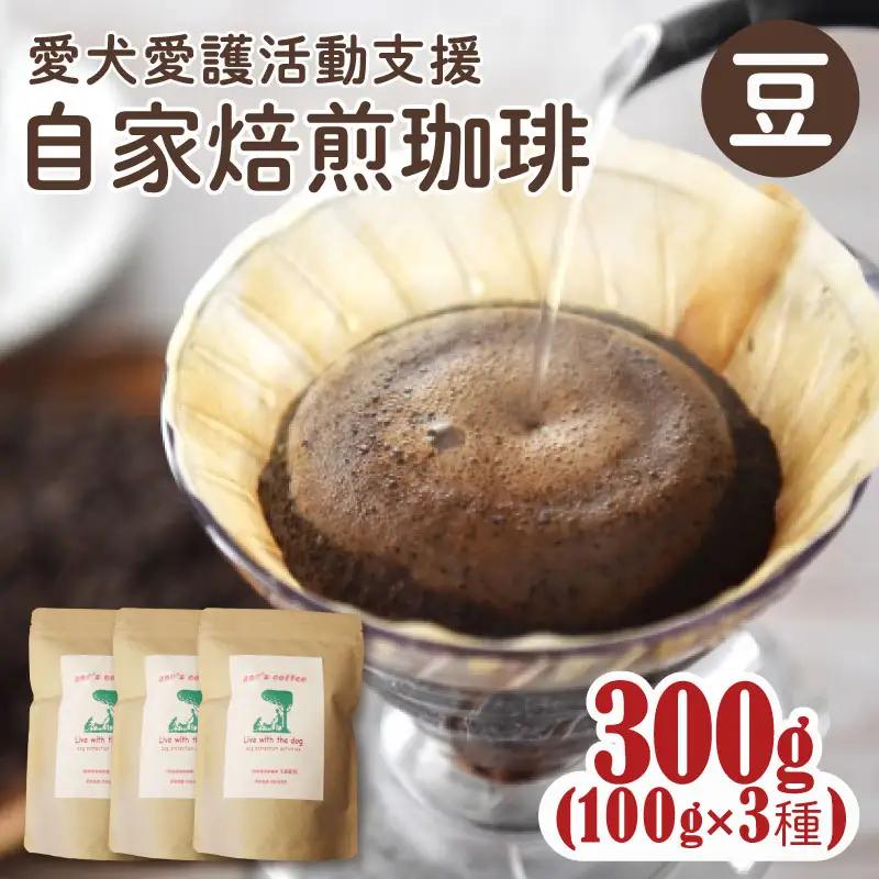 コーヒー豆 【店主おまかせ】 ann's cafe 100g×3種 コーヒー豆