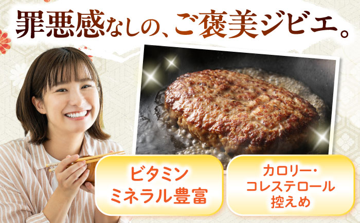 猪肉 ミンチ 1kg 雲仙いのしし / ひき肉 肉 イノシシ ジビエ いのしし ハンバーグ / 南島原市 / 株式会社高田牧場 [SDB012]