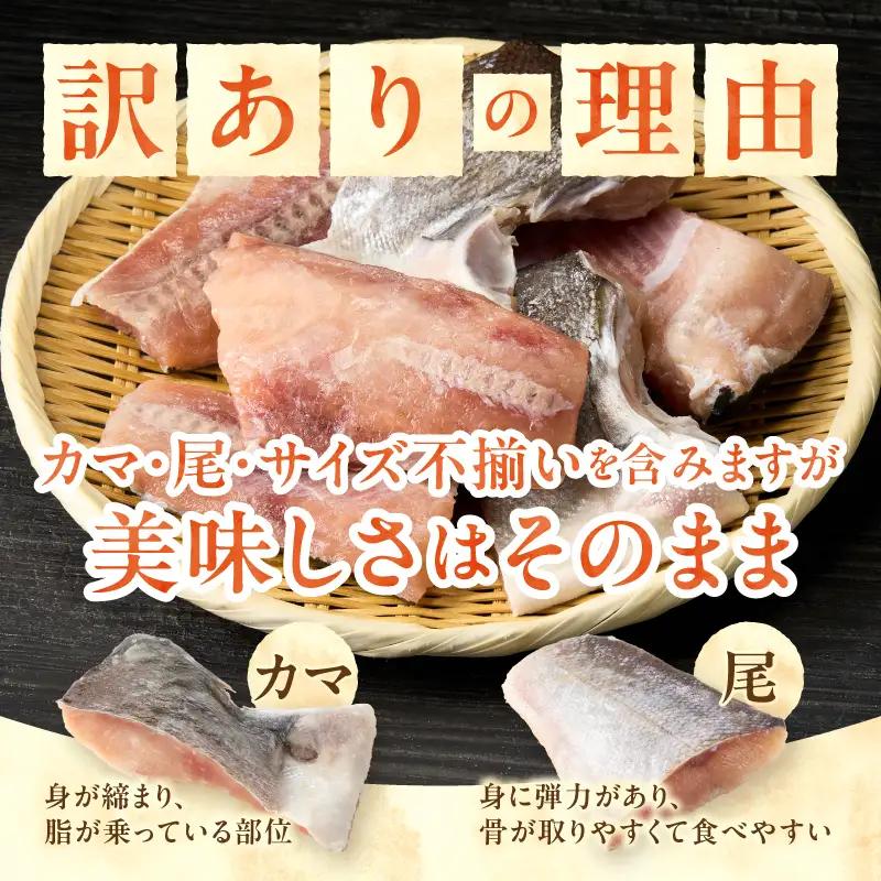 訳あり！天然 白鮭 甘口 切身 約1.5kg バラ凍結 大袋ジッパー (a10-1177)