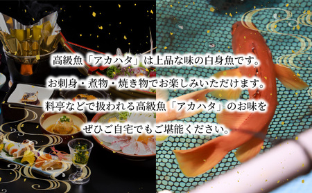 KU015 ＜2025年7月より順次発送＞宮崎県串間産アカハタ(計約2kg・4～8匹)延縄漁による朝どれ高級魚を漁師直送！