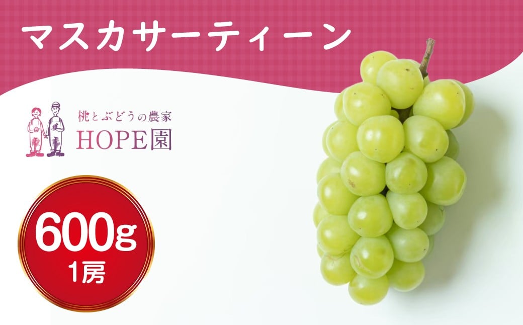 
                  【2026年発送★先行予約】安心のクール便発送 マスカサーティーン 1房 600ｇ　ふるさと納税 ぶどう 葡萄 マスカサーティーン  笛吹市 国産 人気 期間限定 果物 フルーツ 旬 ギフト 記念日 贈り物 山梨県 送料無料 226-008
                