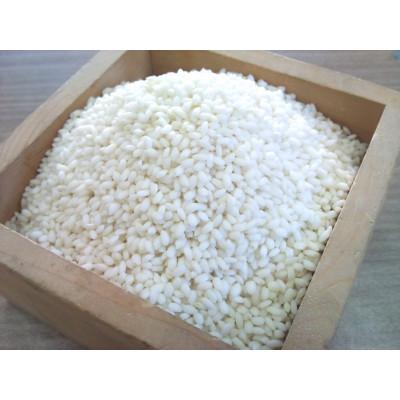 ふるさと納税 千曲市 令和7年産 長野県産もち米 もちひかり 30kg(10kg×3袋) |  | 01