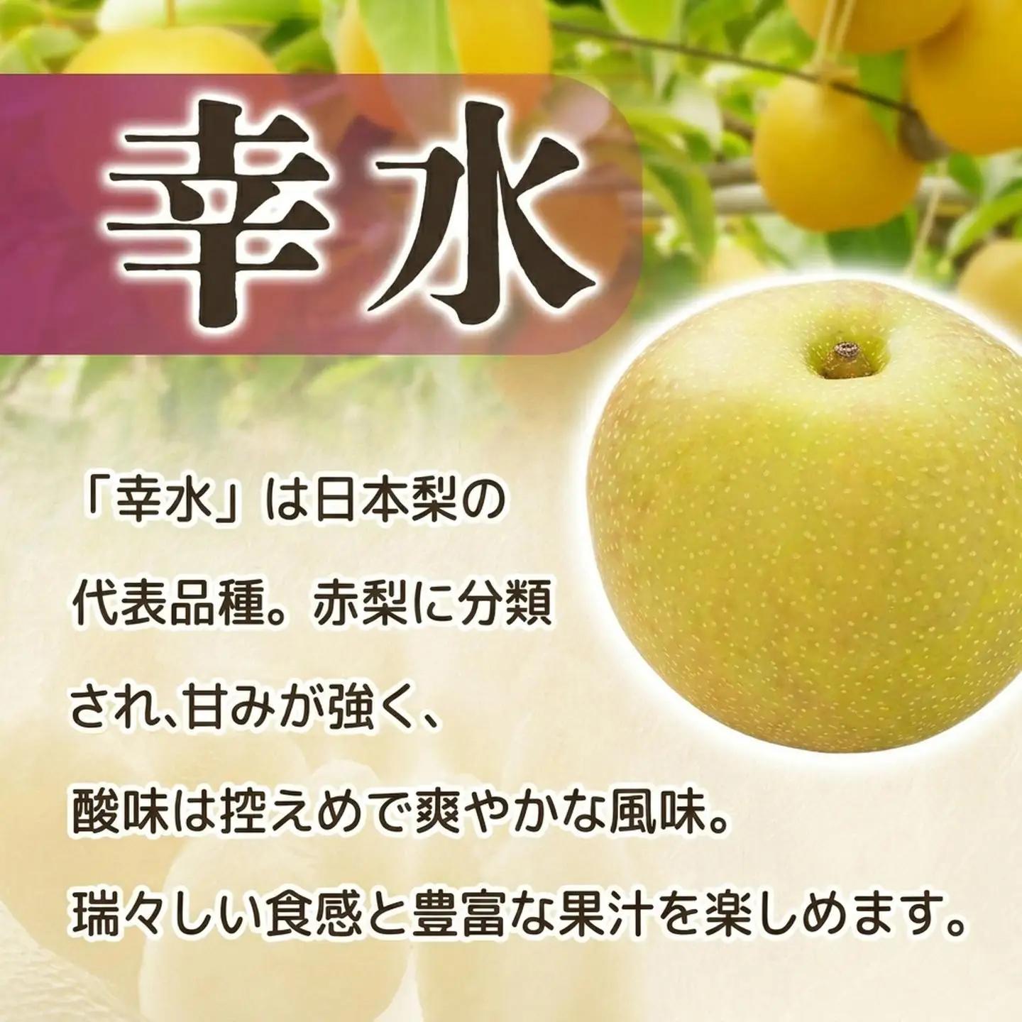 梨 幸水 約5㎏ 梨 