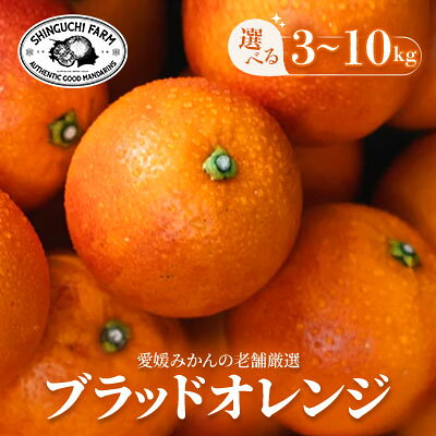 【ふるさと納税】【太陽の恵みをギュッと凝縮】ブラッドオレンジ　 3kg / 5kg / 10kg 新口農園_ ブラッドオレンジ オレンジ タロッコ おれんじ 果物 くだもの フルーツ デザート おいしい ジューシー かんきつ 柑橘 柑橘類 国産 愛媛 えひめ 愛媛県 【G1615814】
