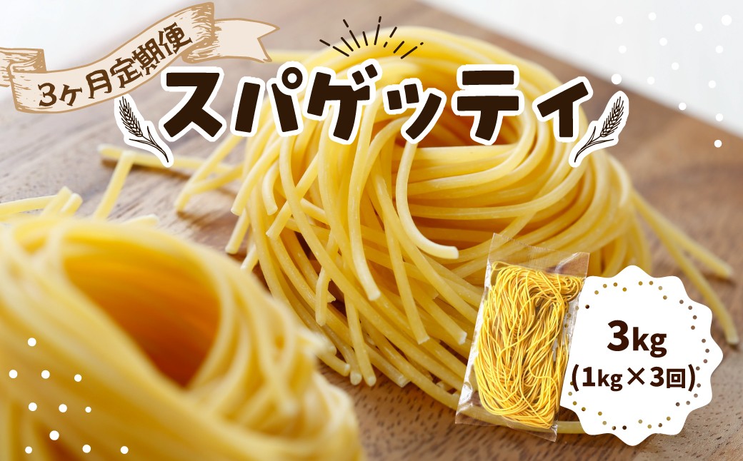 
                  パスタ スパゲッティ 3ヶ月定期便｜生パスタ パスタ 簡単 本格 ロングパスタ スパゲッティ 定期便 3ヶ月 連続 小麦 美味しい おいしい 楽しい おうちごはん 簡単ご飯 コナリエ 群馬県 前橋市
                