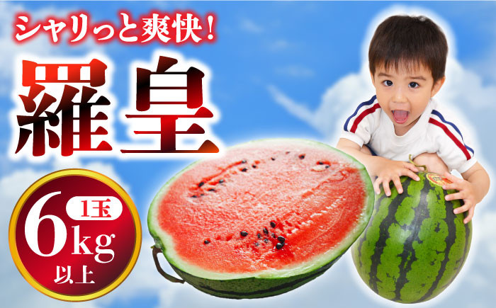 
                  【2026年5月下旬〜発送】スイカ 大玉 羅皇 (ラオウ) 1玉 / スイカ すいか 西瓜 果物 フルーツ 羅皇 / 南島原市 / ふるさと企画 [SBA013]
                