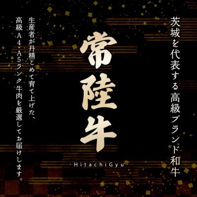 ふるさと納税 境町 常陸牛100% 極ハンバーグ130g×6個セット(合計780g) 個包装 |  | 01