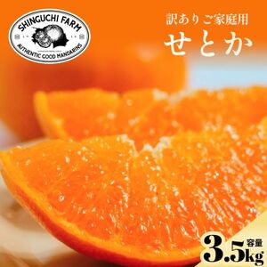 【数量限定】今シーズン発送!【訳あり】せとか 3.5kg【C70-156】【1707146】
