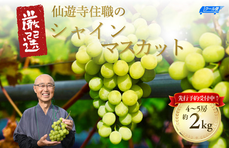 【先行予約】仙遊寺 シャインマスカット 約2kg（家庭用）