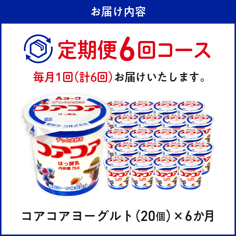 【6ヶ月定期便】愛知ヨーク　コアコアヨーグルト　20個入