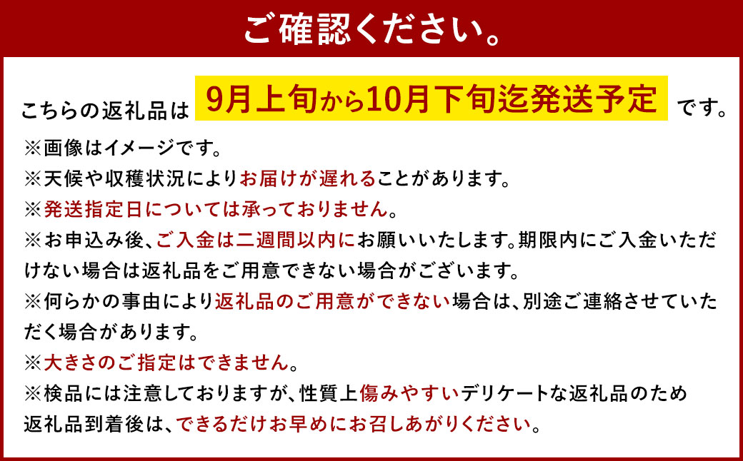 シャインマスカット 晴王 特選 大房 1房 約700g 化粧箱入 マスカット ぶどう ブドウ 葡萄 果物 くだもの フルーツ 果実 果汁 果肉 旬 種なし 皮ごと 大粒 冷蔵 贈答用 贈り物 プレゼント ギフト 国産 岡山県産 【 2026年9月上旬から10月下旬迄発送 】