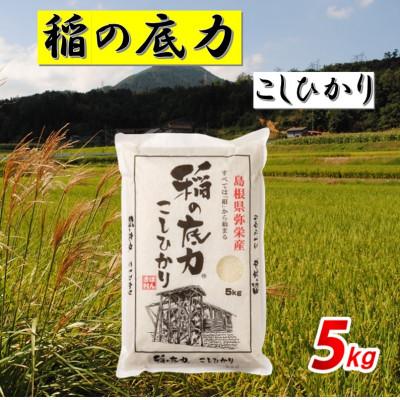 ふるさと納税 浜田市 【令和7年産】浜田市産「稲の底力こしひかり」5kg