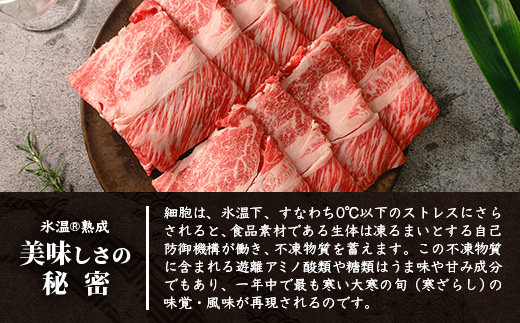 【氷温熟成】石垣島産 黒毛和牛 肩ローススライス 500g お肉 肉 牛肉 冷凍 すきやき すき焼き 牛丼 和牛 しゃぶしゃぶ 八重山食肉センター 肩ロース YC-3