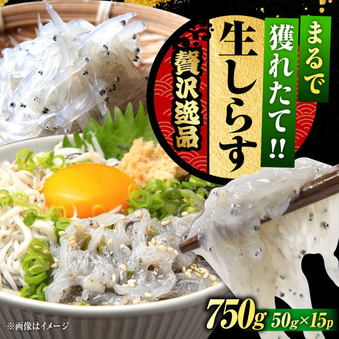 【ふるさと納税】鮮度抜群 生しらす50g×15個 しらす 冷凍 シラス 小分け 干し 釜揚げ 冷凍 シラス 小分け パック 干し 魚介類 鮮魚 海鮮 海産物 セット 詰め合わせ ギフト 広島県産 人気 送料無料 江田島市/三島水産株式会社[XCN003]