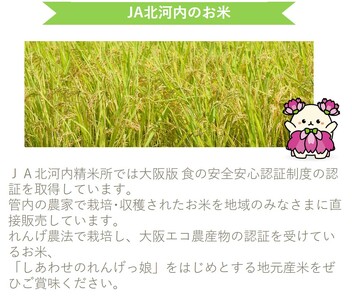 しあわせのれんげっ娘5kg (精米) | お米 おこめ 米 コメ 白米 ご飯 ごはん おにぎり お弁当 [0063]