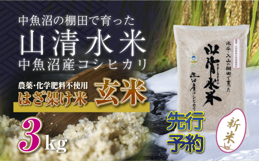 
            【新米先行受付】新潟県魚沼産コシヒカリ◇玄米３kg 栽培期間中農薬・化学肥料不使用「山清水米」はざ架け米
          