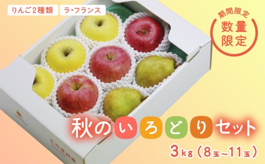 《先行予約 2026年度発送》【王将果樹園】秋のいろどりセット 3kg  なし ナシ 梨 デザート フルーツ 果物 くだもの 果実 食品 山形県 FSY-2691