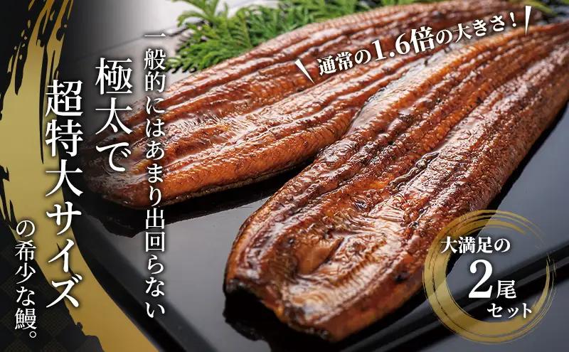 うなぎ 蒲焼き 2尾 (200g以上×2本)セット 国産 うなぎセット 国産うなぎ 浜名湖うなぎ