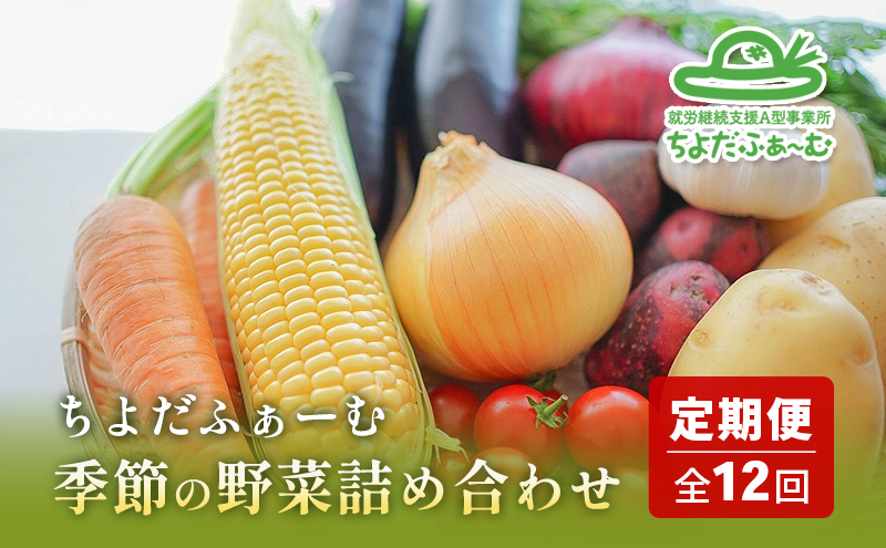 
            【全12回 毎月中旬頃お届け！】 季節の野菜 詰め合わせ 定期便 「ノウフク・プロジェクト」 冷蔵便【就労支援】
          