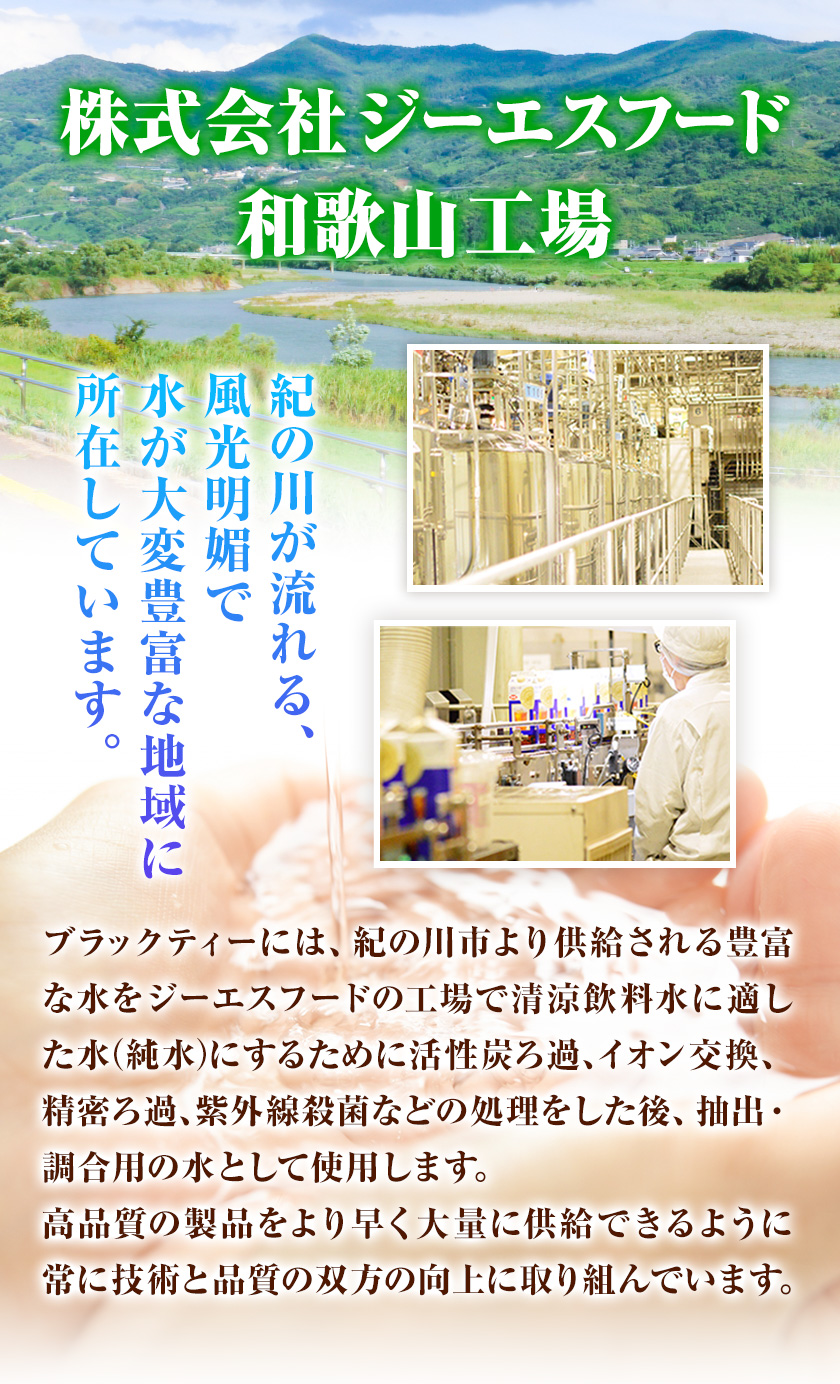 和歌山県紀の川市 希釈紅茶飲料 GSブラックティーアールグレイ 500ml×12本《90日以内に出荷予定(土日祝除く)》和歌山県 紀の川市 飲料 紅茶 5倍希釈 株式会社ジーエスフード ミルクティー 