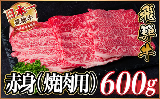 
                  飛騨牛　厳選赤身(焼肉・BBQ用) 600g(300g×2)　黒毛和牛　小分け　A4～A5等級【1543753】
                