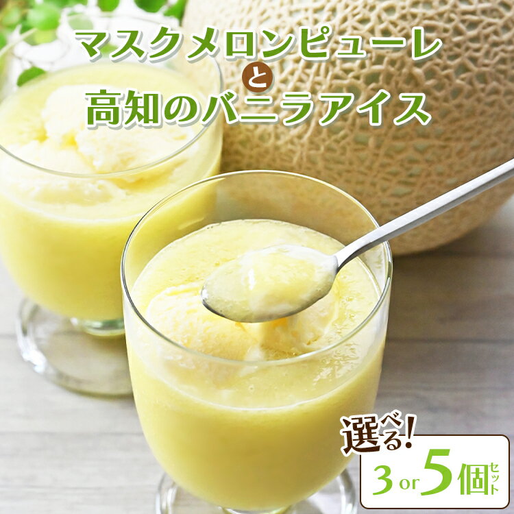 【ふるさと納税】マスクメロンピューレと高知のバニラアイスセット（選べる：3個／5個）- テレビ「めざましどようび キクエがキクヨ！」で紹介 JALファーストクラス機内食に採用 めろん まるごと ストレート アイスクリーム デザート スイーツ 篤農 高知県 香南市【冷凍】