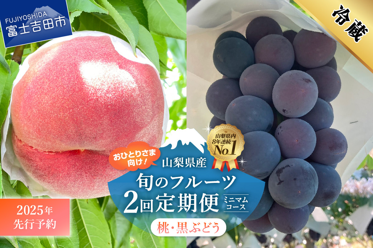 
            【2025年先行予約】【2回定期便】厳選 旬のフルーツ定期便（桃3玉・黒ぶどう1房）　もも 黒ブドウ ぶどう 果物 おひとりさま 贅沢 ミニマム 定期便2回 フルーツ 山梨 富士吉田市
          