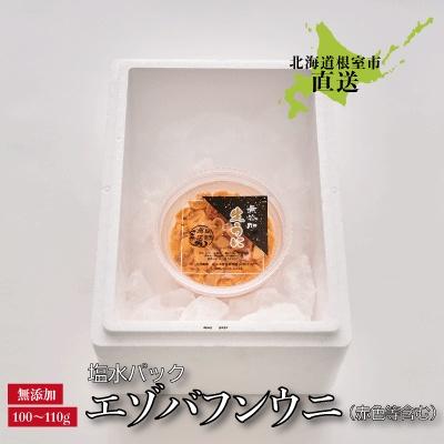 ふるさと納税 根室市 エゾバフンウニ(赤色等含む)塩水パック100〜110g×1パック A-22001 |  | 03