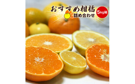 【先行予約】4月おすすめ柑橘詰め合わせ5kg箱＜出荷開始：2026年4月5日~4月25日＞【 フルーツ 神奈川県 小田原市 柑橘 柑橘】