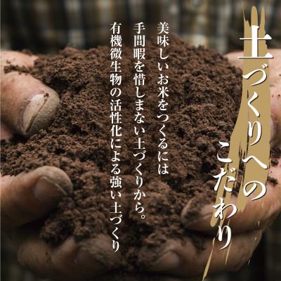 ふるさと納税 南魚沼市 無地のし 令和7年産 南魚沼産 コシヒカリ 10kg (美味しいお米の炊き方ガイド付) |  | 02