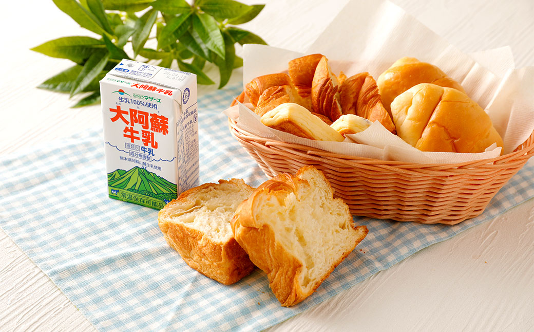 【1ヶ月毎7回定期便】大阿蘇牛乳 250ml 計168本（24本×7回） 計42L