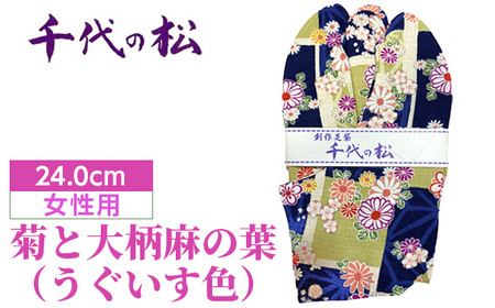 No.374-03 菊と大柄麻の葉（うぐいす色）（女性用：24.0cm）