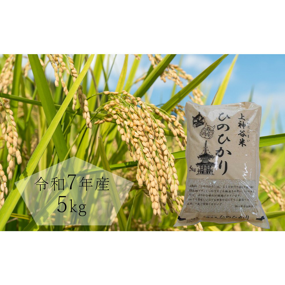 【ふるさと納税】令和7年度産　上神谷米（にわだにまい）ひのひかり 5kg