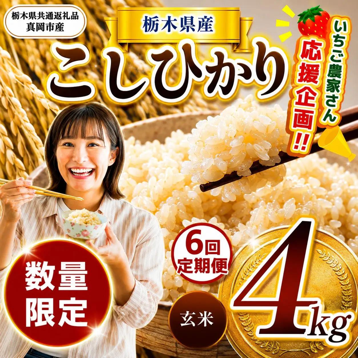 【定期6回】先行予約 令和8年度産 栃木県産こしひかり（玄米）約4kg