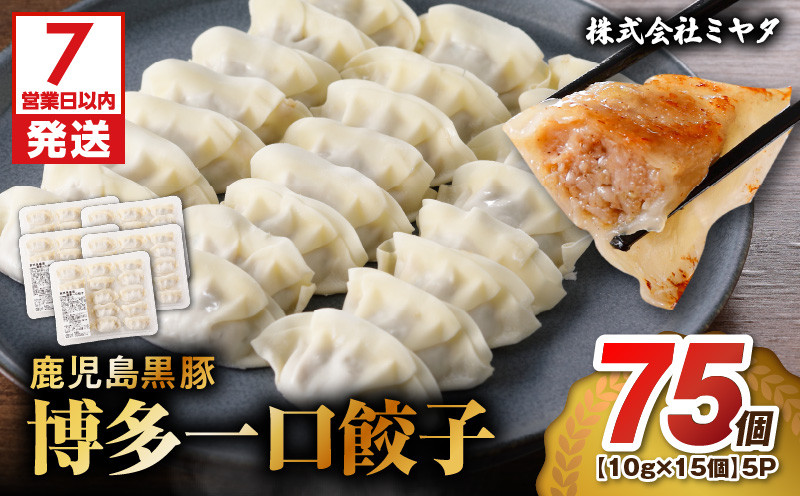 
            鹿児島黒豚博多一口餃子 75個　K025-009_01
          