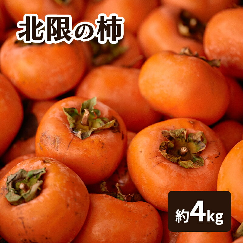【ふるさと納税】秋田県産 北限の柿 4kg 果物類 [ カキ 柿 かき 果物] 　お届け：2026年2月1日～2026年2月28日