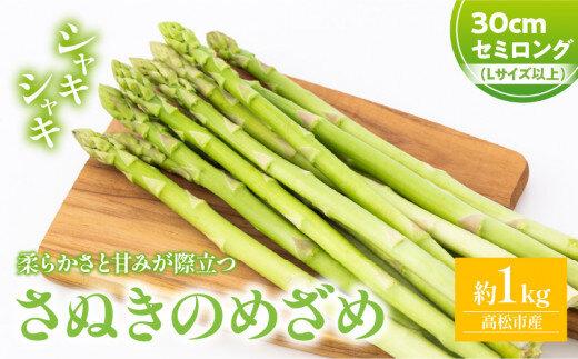 柔らかさと甘みが際立つ さぬきのめざめセミロング30cm(Lサイズ以上) 約1kg【2026-3月上旬～2026-6月下旬配送】 372013_T006-294J